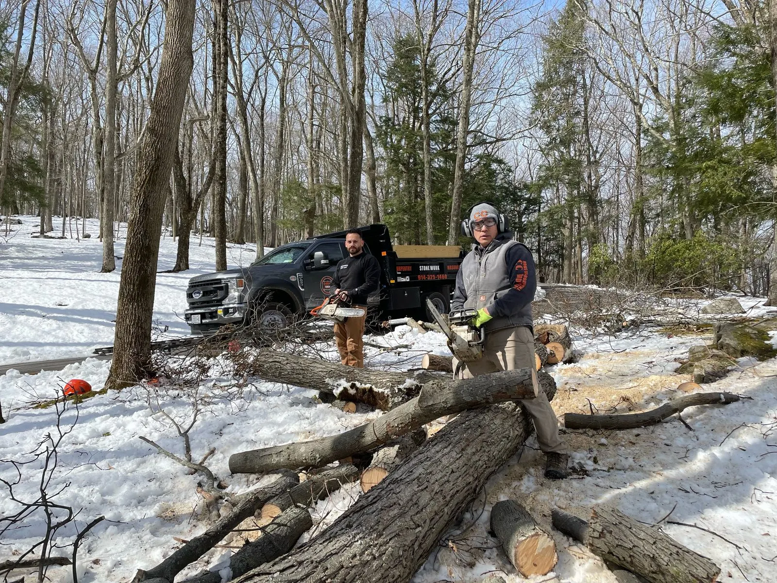 Tree and brush removal in Carmel, NY