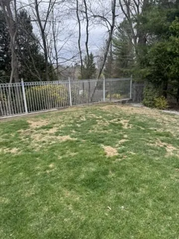 Aluminum yard fence installation in Westchester County, NY