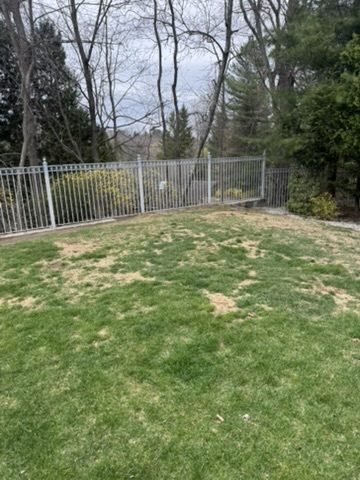Black aluminum yard fence with a manicured lawn